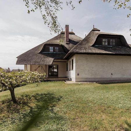 Ferienhaus Schilfvilla Mörbisch am See Zewnętrze zdjęcie